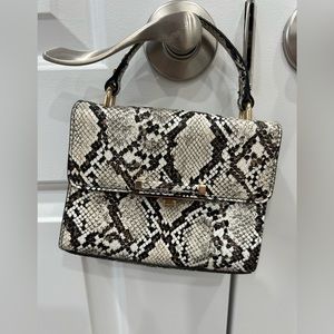 SNAKE SKIN CLUTCH